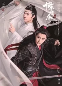 陈情令之蓝氏大小姐蓝婷