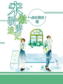 宋傲娇追妻记