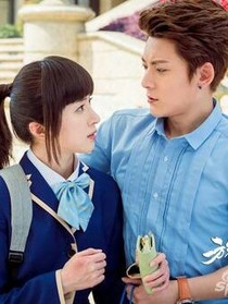 旋风少女之廷梦夫妇