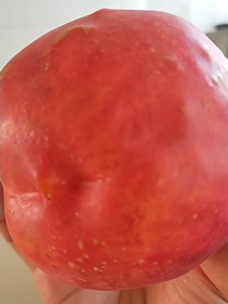 今生！我們都在錯過
