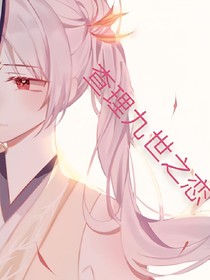 查理九世之戀