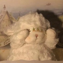 差一年的朋友