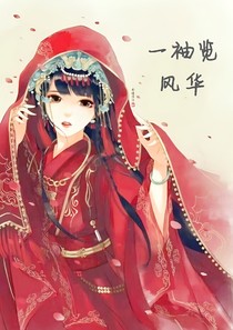 一袖揽风华