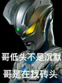 有赛罗的神兽金刚不平凡