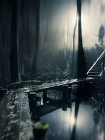 沒有結(jié)果的夢(mèng)