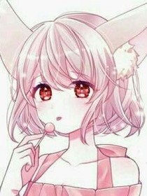 斗龙战士之姐妹的复仇