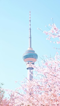 三生三世之皇上誰當(dāng)我來定