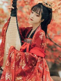 陈情之花影无梦