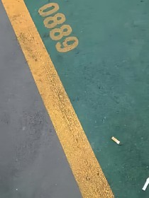 何洛洛.无爱.