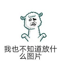 我我也不知道關(guān)于什么的輕小說