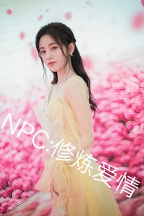NPC:修炼爱情