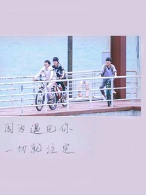TFBOYS.樱花之恋
