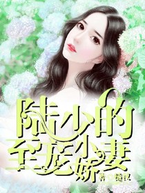 陸少的至寵小嬌妻