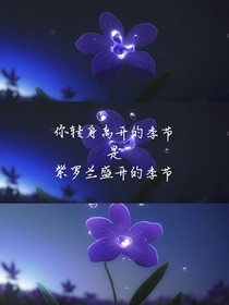 紫罗兰盛开的季节