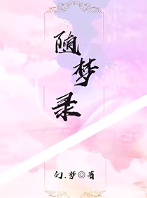 随梦录