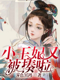 小王妃又被揍啦
