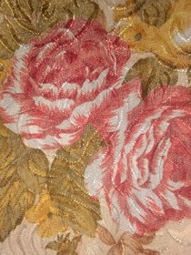 公主殿下放过我
