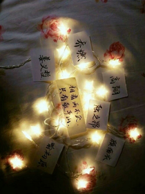 顾浔安是人间理想