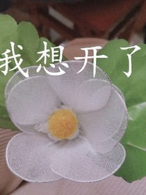 沈氏夫妇的撒糖集