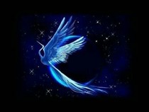 神奇寶貝之紫鳳