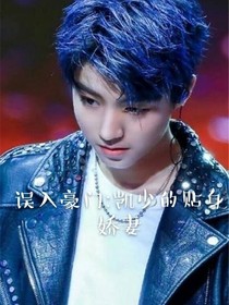 误入豪门:凯少的宝贝娇妻