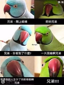 随便什么玛丽苏