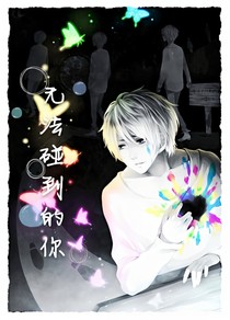 无法碰到的你