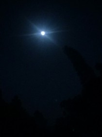 囚爱星河