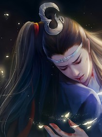 陈情令（只为守护你）
