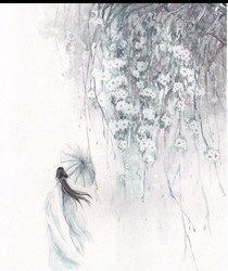 皇后，朕對不起你