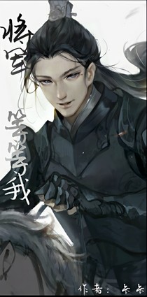 將軍，等等我