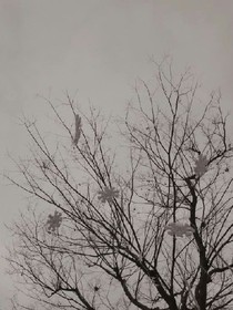 杂文，接搞