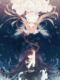 小花仙之黑色的金羽毛