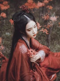 久摇——d019