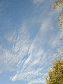 远方的目的地