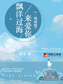 飘洋过海来爱你：一撞成婚
