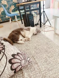 我们一起炸学校
