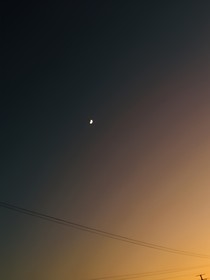 我的沈医生
