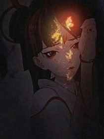 查理九世:北海北