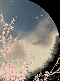 肖戰(zhàn)：以你