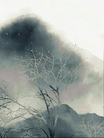 我穿越到了全法的世界