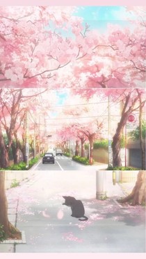 云端之憶