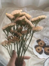 陌與熙戀