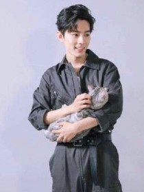 重生之我变成了肖战怀里的猫