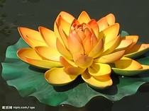 一段美好的爱情