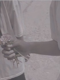 我的晨熙陛下