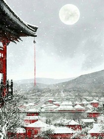 紅墻下的花