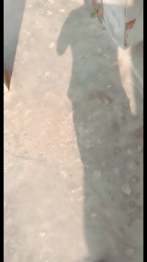 绝品现代生活