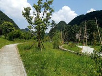 都市之最強(qiáng)學(xué)霸