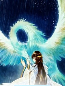 斗羅之冰凰1